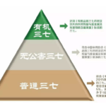 田七人参の有機ピラミッド