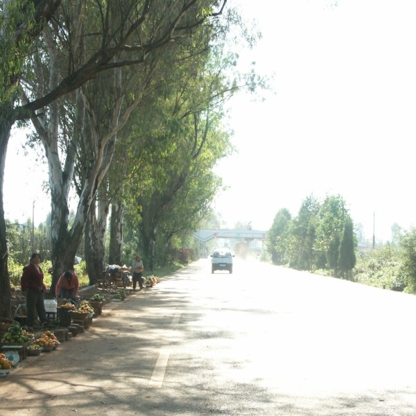 雲南省の車道